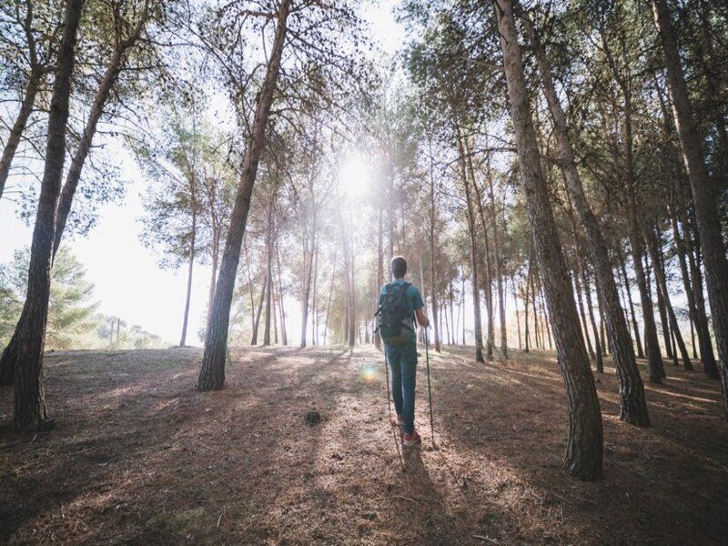 Comment rester en forme et en bonne santé ?
