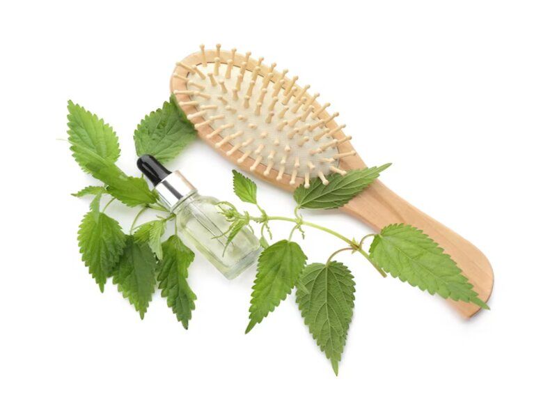 Les bienfaits de l'ortie pour les cheveux