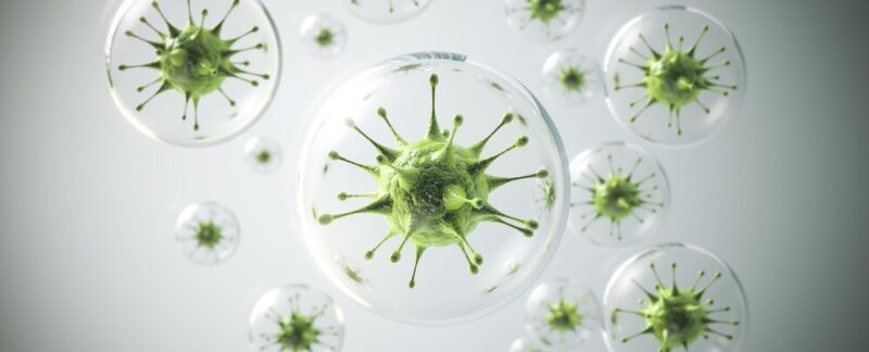 Germes et agents pathogènes microscopiques. Méningite bactérienne