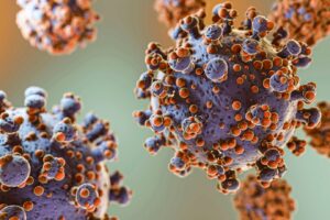 Représentation du concept de micro-organismes. Staphylococcus aureus