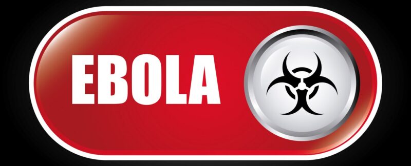 Ebola, qu'est-ce que c'est ? Causes et traitement