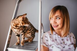 Un chat du Bengale se tient sur l'échelle derrière une jolie femme. syndrome de l'œil de chat
