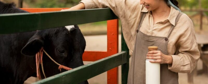 Allergie aux protéines du lait de vache