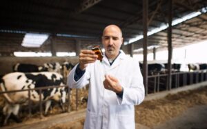 Diagnostic et options de substitution