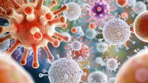Surveillance des infections systémiques