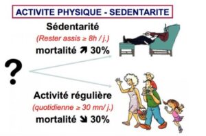 Les conséquences physiologiques de la sedentarite