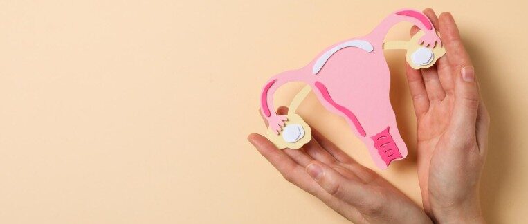 Vivre avec un double utérus : fertilité et santé féminine
