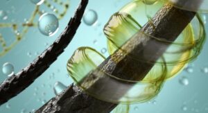 révolution de la biotechnologie capillaire : 2026 marquera-t-elle la fin définitive de l'alopécie
