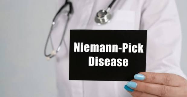 Maladie de Niemann-Pick : symptômes, types et traitement